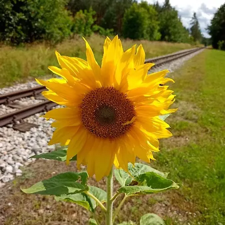 Nostalgie Bahnhof 아파트 그뮌트