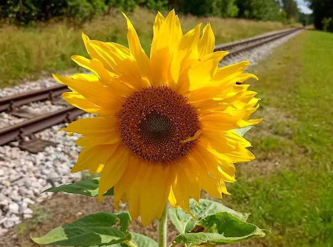 Nostalgie Bahnhof Apartment Gmund (Lower Austria)